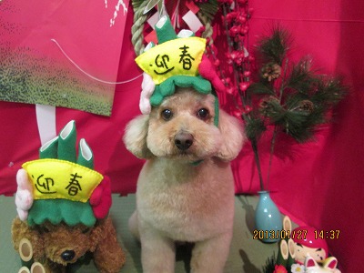 ファイル 6128-1.jpg