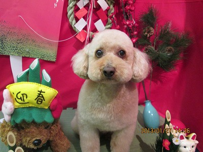 ファイル 6128-2.jpg