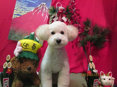 ファイル 6129-1.jpg