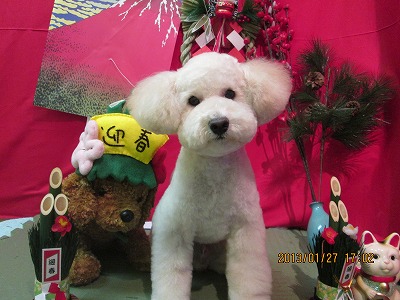 ファイル 6129-2.jpg