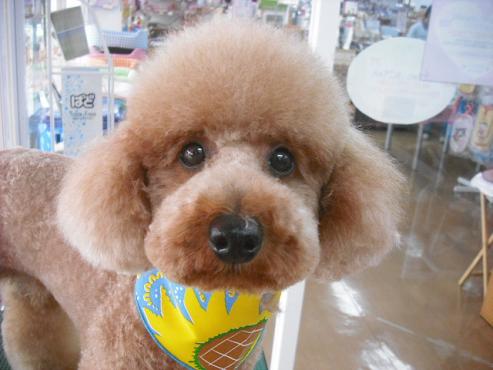 ファイル 613-3.jpg