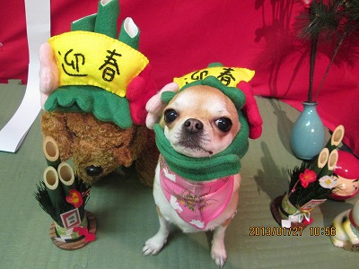 ファイル 6130-1.jpg