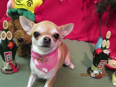 ファイル 6130-2.jpg