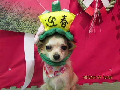 ファイル 6131-1.jpg