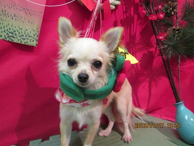 ファイル 6131-2.jpg