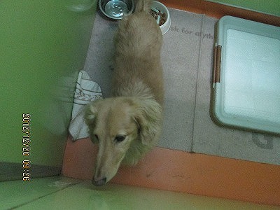 ファイル 6134-2.jpg