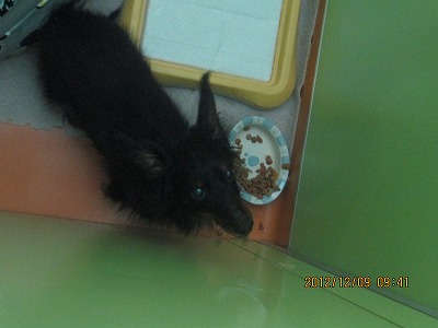 ファイル 6137-2.jpg