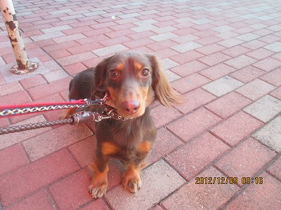 ファイル 6138-2.jpg