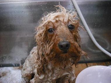 ファイル 614-2.jpg