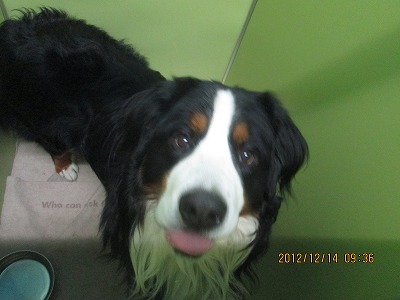 ファイル 6140-2.jpg