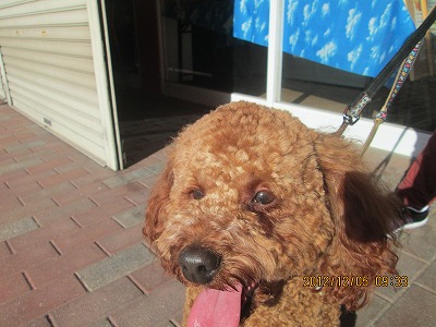 ファイル 6143-2.jpg