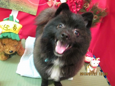 ファイル 6144-1.jpg