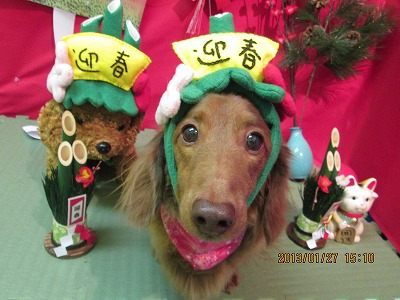 ファイル 6145-1.jpg