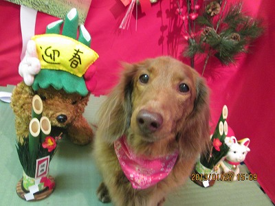 ファイル 6145-2.jpg