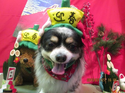 ファイル 6146-1.jpg