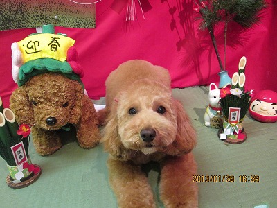 ファイル 6148-1.jpg