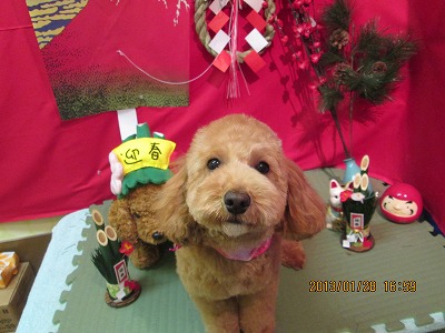 ファイル 6148-2.jpg