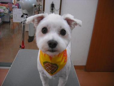 ファイル 615-1.jpg