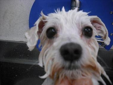 ファイル 615-2.jpg