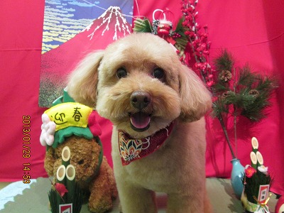 ファイル 6150-1.jpg