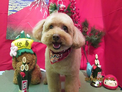 ファイル 6150-2.jpg