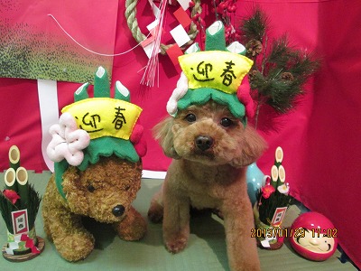 ファイル 6151-1.jpg