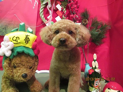 ファイル 6151-2.jpg