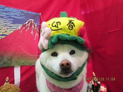 ファイル 6152-1.jpg