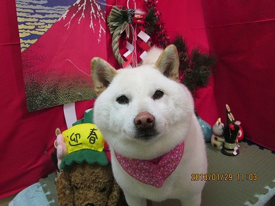 ファイル 6152-2.jpg