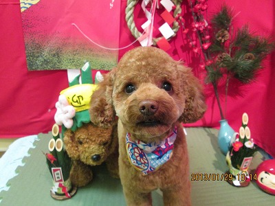 ファイル 6154-1.jpg