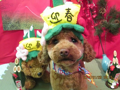 ファイル 6154-2.jpg