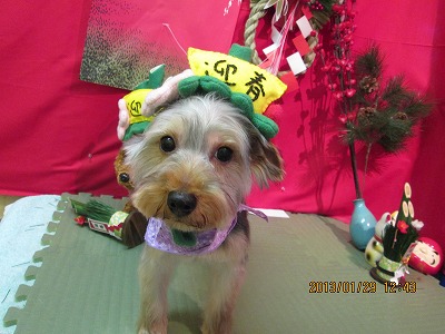 ファイル 6155-2.jpg