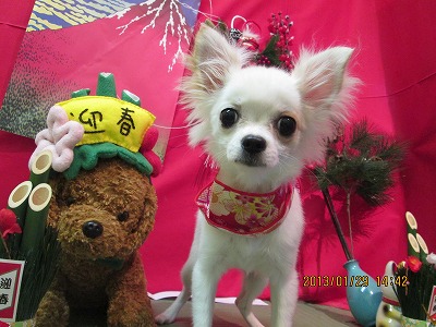 ファイル 6156-1.jpg