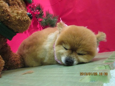 ファイル 6157-2.jpg