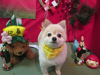 ファイル 6158-2.jpg