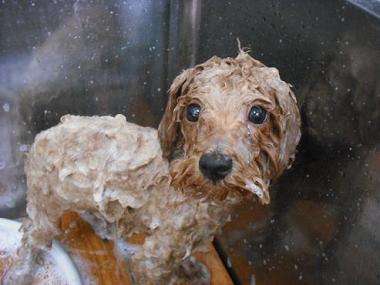 ファイル 616-2.jpg