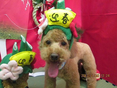 ファイル 6161-2.jpg