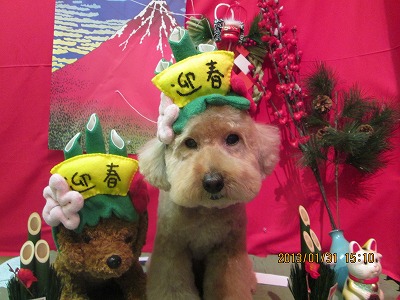 ファイル 6163-2.jpg