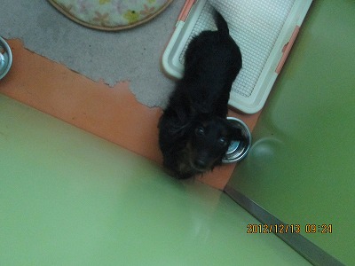 ファイル 6165-2.jpg