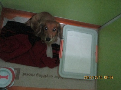 ファイル 6167-2.jpg