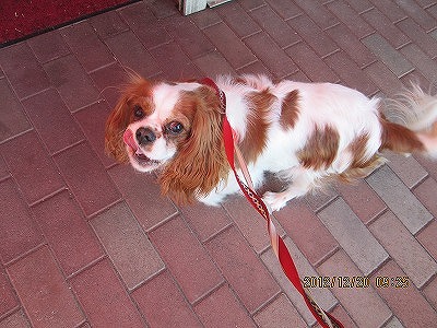 ファイル 6169-2.jpg