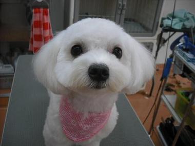 ファイル 617-1.jpg