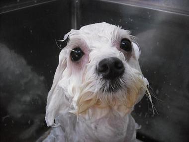 ファイル 617-2.jpg