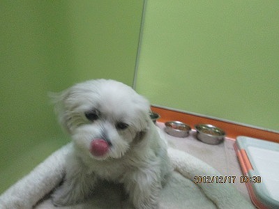 ファイル 6170-2.jpg