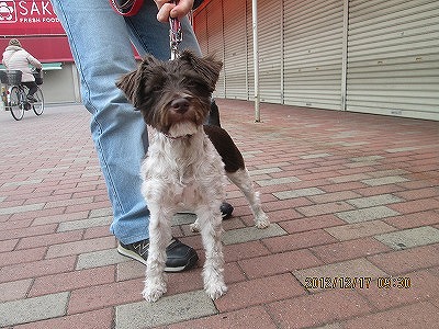 ファイル 6171-2.jpg