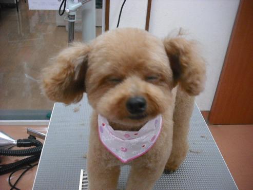 ファイル 618-1.jpg