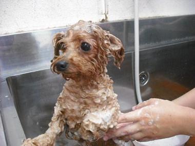 ファイル 618-3.jpg