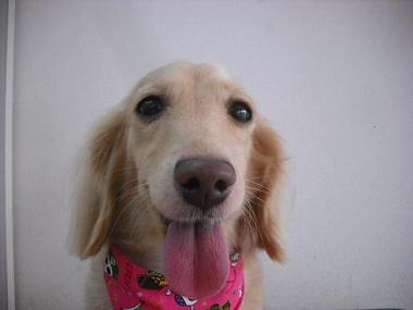 ファイル 619-1.jpg