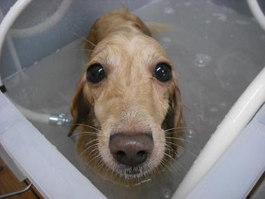 ファイル 619-2.jpg