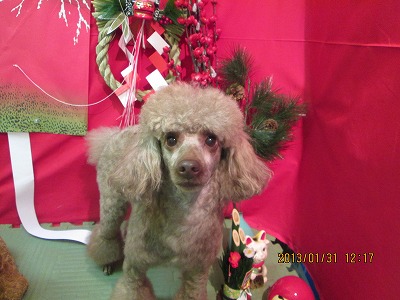 ファイル 6190-2.jpg